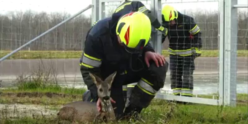 Feuerwehreinsatz